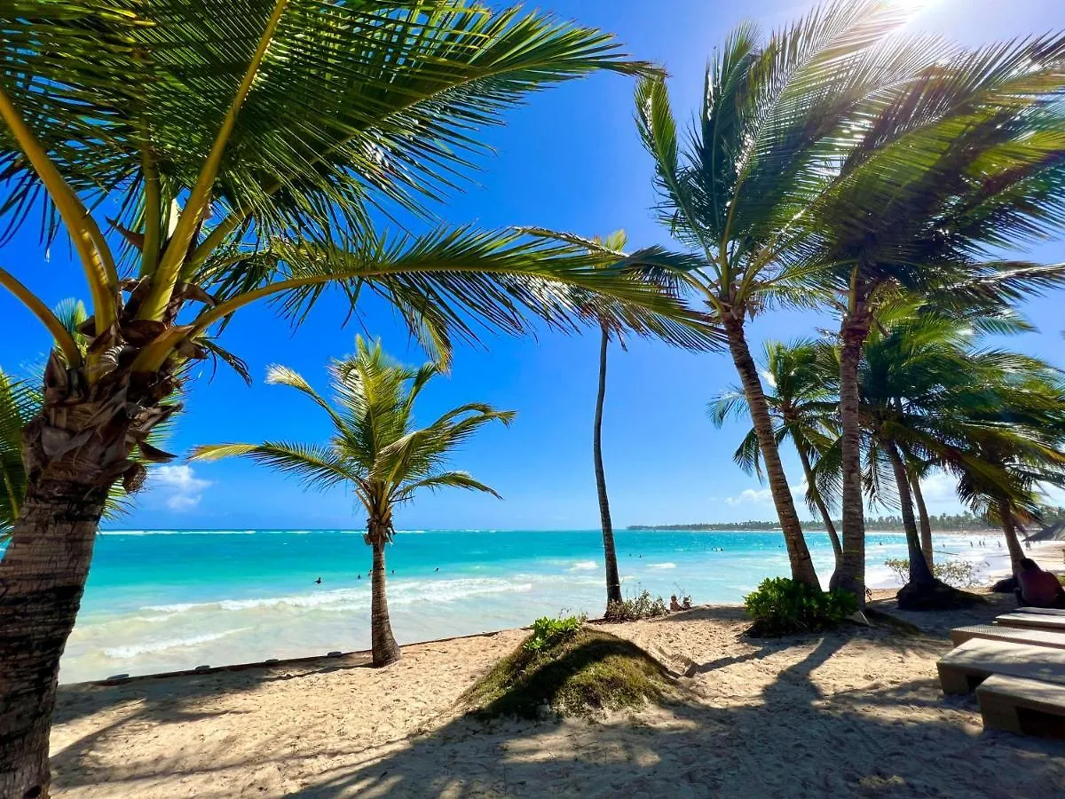 ***** Feriested Vik Hotel Cayena Beach All Inclusive Punta Cana Den Dominikanske Republik